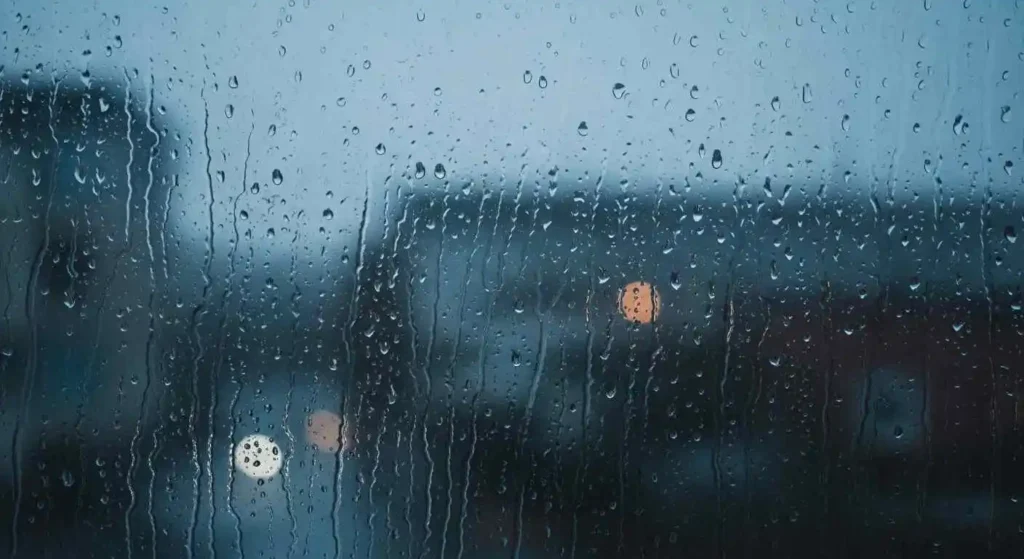 Rainy window scene